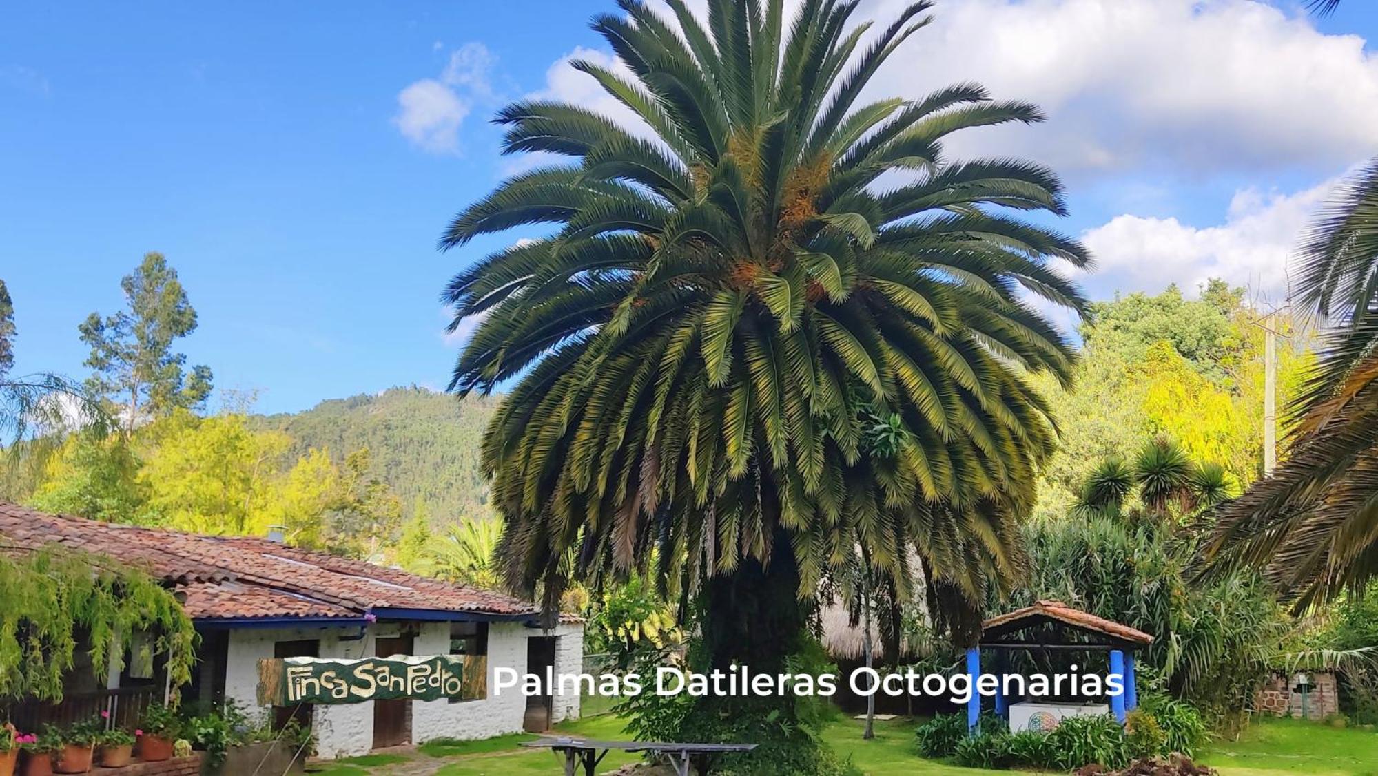 Finca San Pedro -Alojamiento Campestre Y Reserva Natural- Sogamoso Εξωτερικό φωτογραφία