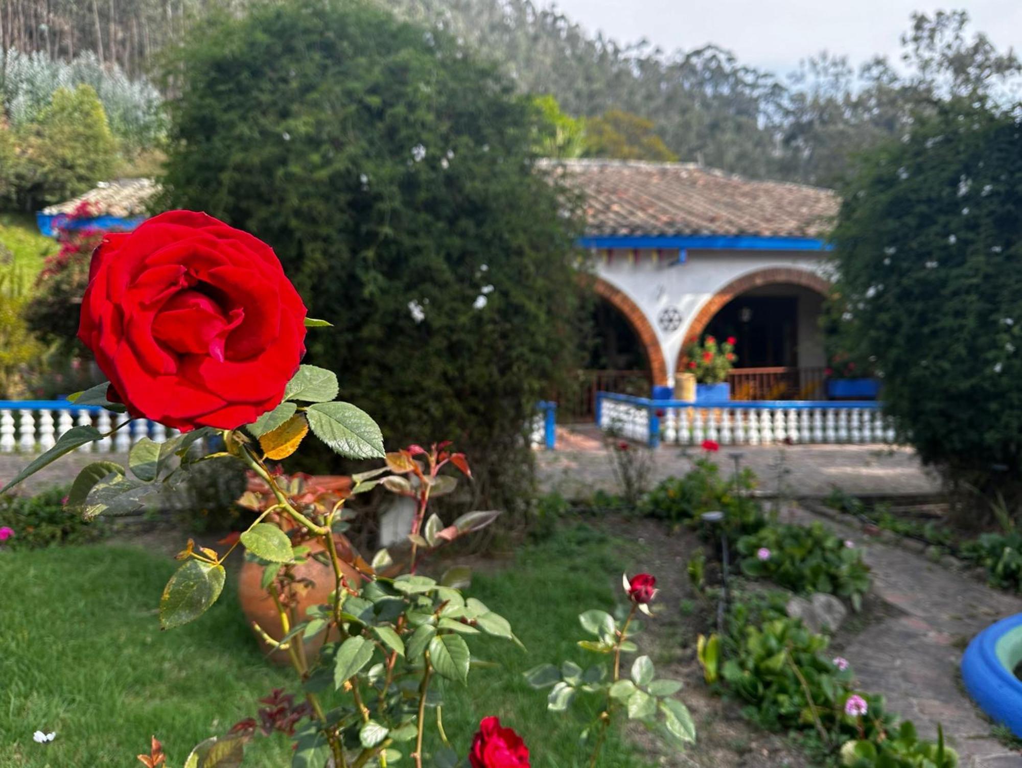 Finca San Pedro -Alojamiento Campestre Y Reserva Natural- Sogamoso Εξωτερικό φωτογραφία