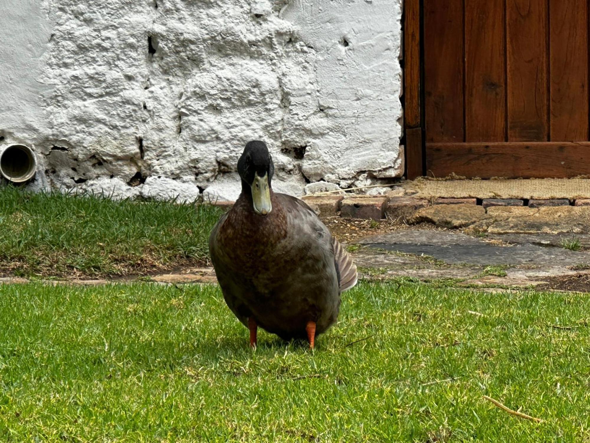 Finca San Pedro -Alojamiento Campestre Y Reserva Natural- Sogamoso Εξωτερικό φωτογραφία