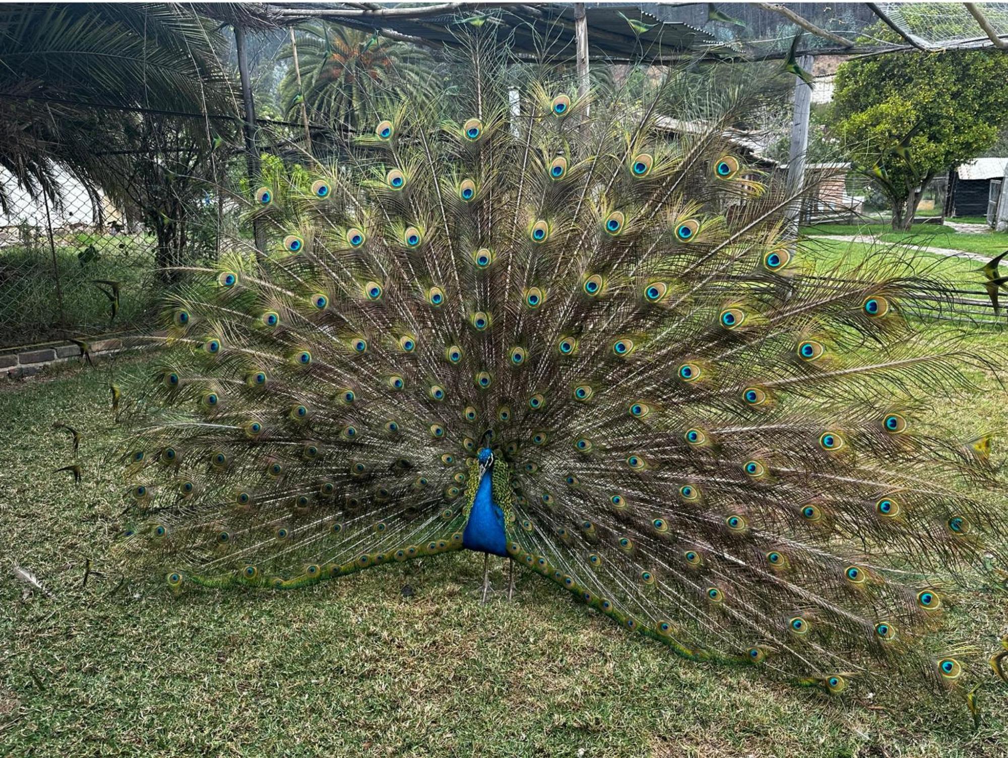Finca San Pedro -Alojamiento Campestre Y Reserva Natural- Sogamoso Εξωτερικό φωτογραφία