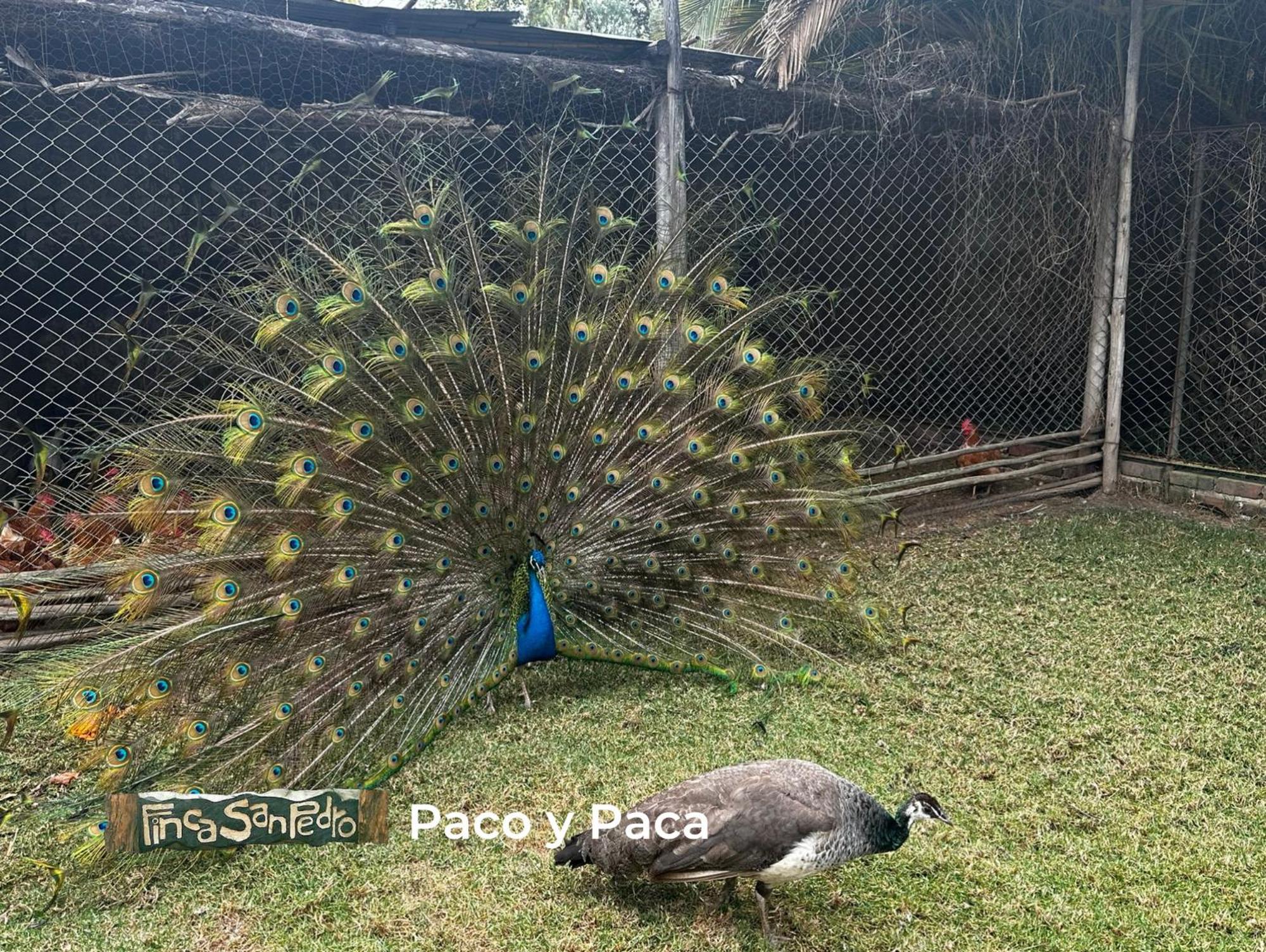 Finca San Pedro -Alojamiento Campestre Y Reserva Natural- Sogamoso Εξωτερικό φωτογραφία